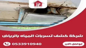 شركة كشف تسربات المياه بالرياض تبرز في تجربة عملاء منزل الدقة